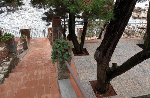 Rio nell'Elba Apartment | Appartamenti Villa Lina - La Sorella