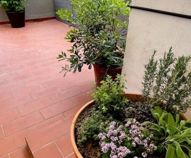 Pontedera Apartment | Appartamento con terrazza e parcheggio privato