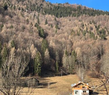 Cencenighe Agordino Apartment | Appartamento Cuore delle Dolomiti