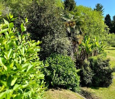 Dagnente Apartment | Appartamento in Villa