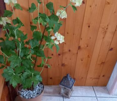 Pieve d'Alpago Apartment | Appartamento 'Io e te'