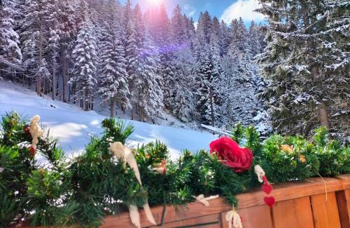 Palu Apartment | Appartamento Campiglio 2