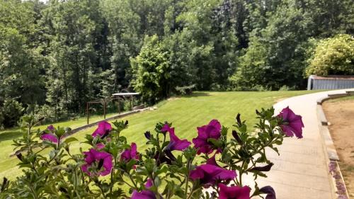Rueglio Apartment | Appartamento La Casa nel Bosco