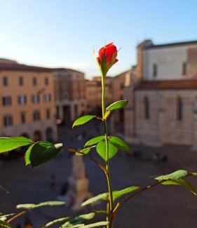 Grosseto Apartment | Appartamento Piazza Dante Alighieri