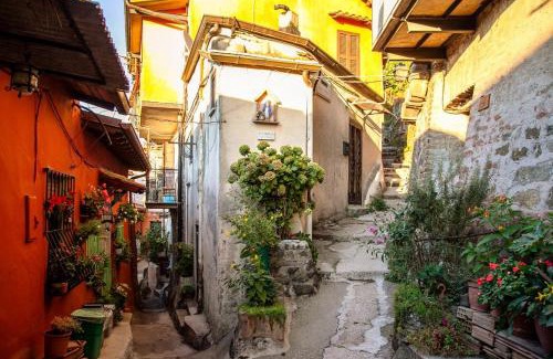 Rocca di Papa Apartment | Appartamento Rocca di Papa