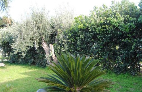 Carini House | Appartamento uso turistico Villa Barbara