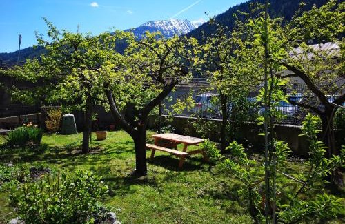 Cusiano Apartment | Appartamento vista Parco Adamello Brenta