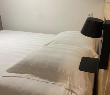 Saint-Symphorien-d'Ozon Apartment | Appartement T2 meublé 2ter