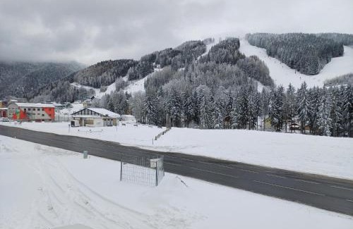 Spital am Semmering Apartment | Appartements Dorner, Semmering