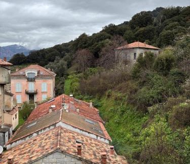 Sainte-Lucie-de-Tallano Apartment | Appartement Sainte Lucie de Tallano,2 personnes au centre du village