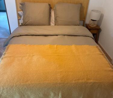 Sainte-Lucie-de-Tallano Apartment | Appartement Sainte Lucie de Tallano,2 personnes au centre du village