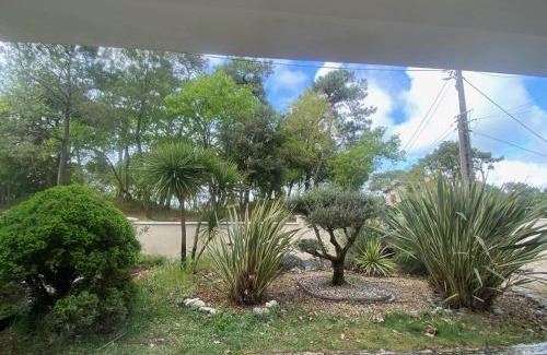 La Tremblade Apartment | Appartement à 200m de la plage