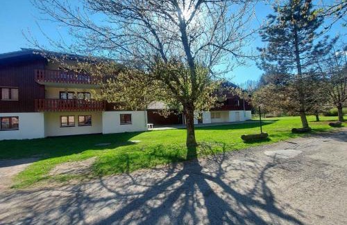 Samoens Apartment | Appartement 1 ch, piscines, parking, animaux acceptés - FR-1-624-107