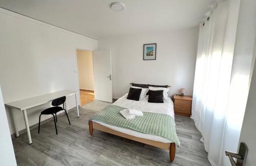Devant-les-Ponts Apartment | Appartement 3 chambres parking Metz