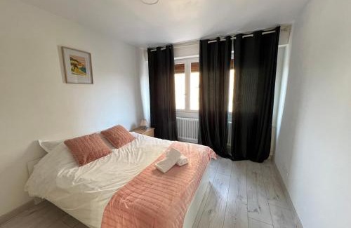 Devant-les-Ponts Apartment | Appartement 3 chambres parking Metz