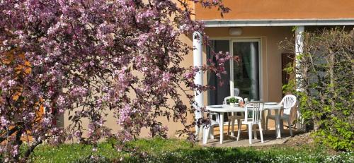 Prayssac Apartment | Appartement 4-6 personnes à Prayssac - résidence avec Piscine