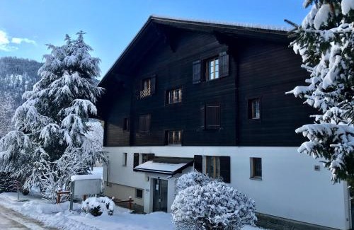 Charmey Apartment | Appartement 53m2 rénové dans un chalet au coeur de Charmey avec vue sur les montagnes