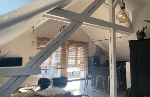 Selestat Apartment | Appartement atypique lumineux
