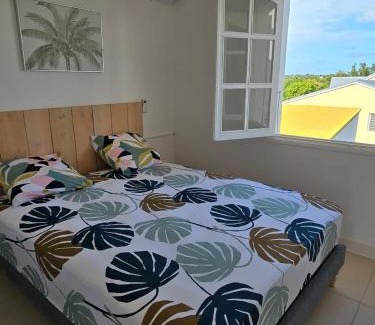L'Houezel Apartment | Appartement au centre de Gosier 5
