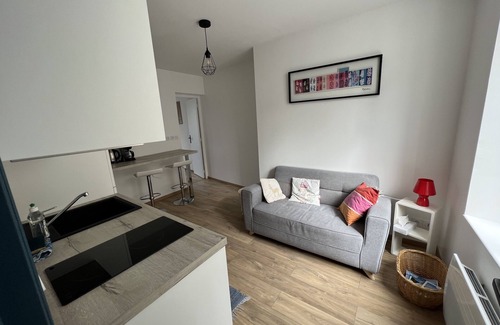 Dernier Sou Apartment | Appartement au Sein de la Vieille Ville