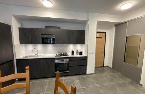 Sallanches Apartment | Appartement au pied du Mont-Blanc 2!