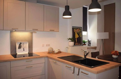 Nerac Apartment | Appartement Avec Accès Piscine et Jardin Dans Hôtel Particulier