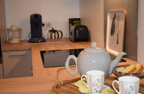 Nerac Apartment | Appartement Avec Accès Piscine et Jardin Dans Hôtel Particulier