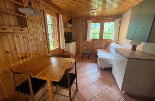 Zinal Apartment | Appartement avec jardin au coeur de la nature