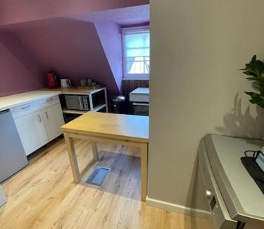 Benfeld Apartment | Appartement avec Sauna - Europa Park