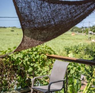 Petit-Canal Apartment | Appartement Canne Rouge