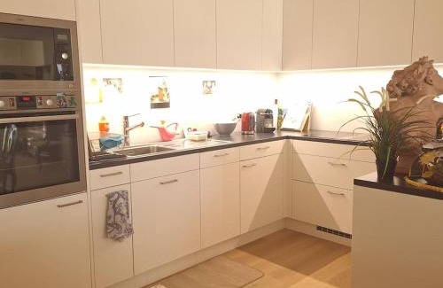 Sion Apartment | Appartement centre de Sion avec Parking