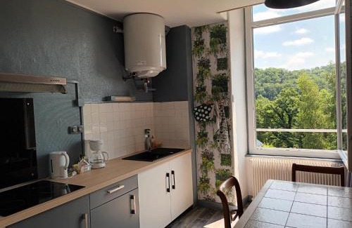 Pontaumur Apartment | Appartement chaleureux de 82M2 proche de Vulcania