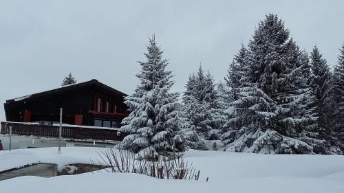Les Mosses Apartment | Appartement Chantilu