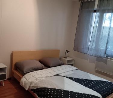 Plaine des Bouchers Apartment | Appartement cosy à Strasbourg