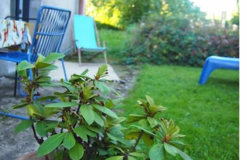 Senones Apartment | Appartement Cosy Calme & Central
