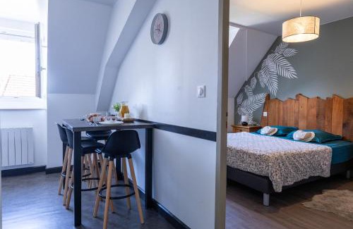 Thann Apartment | Appartement cosy centre historique