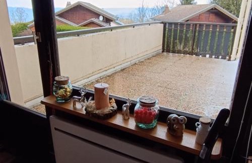 Thollon-les-Memises Apartment | Appartement cosy proche pistes ski avec garage - FR-1-498-112