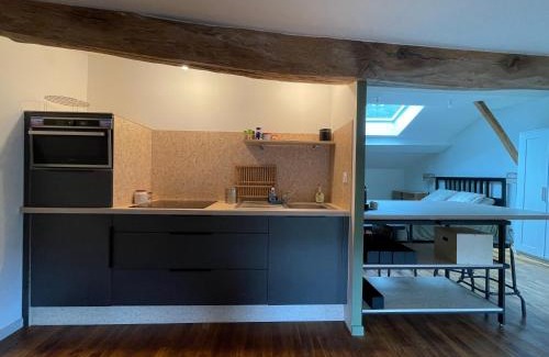Pont-d'Ain House | Appartement Cosy sous les toits