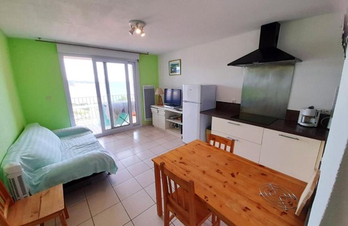 Banyuls-sur-Mer Apartment | Appartement d'une chambre avec vue sur la mer jardin et wifi a Banyuls sur Mer a 2 km de la plage