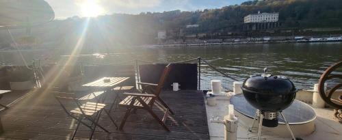 Grand Lyon Boat Rental | Appartement dans Péniche atypique et idyllique à Confluence