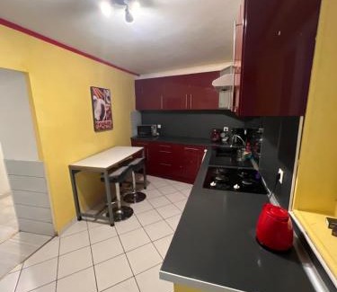 Carmaux Apartment | Appartement Darna - NETFLIX - WIFI - Terrasse avec jacuzzi