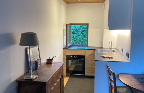 Demi-Quartier Apartment | Appartement de 3 Pièces et Jardin - Megeve