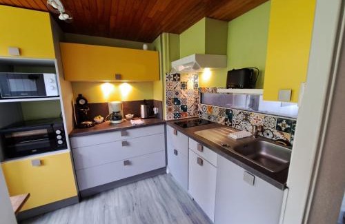 Murat-le-Quaire Apartment | Appartement duplex avec vue sur le Sancy et garage couvert