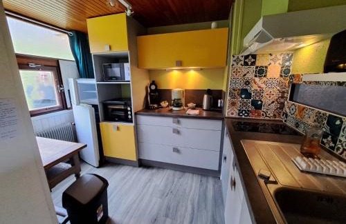 Murat-le-Quaire Apartment | Appartement duplex avec vue sur le Sancy et garage couvert