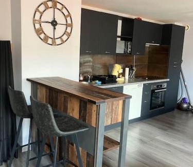 Pontarlier Apartment | Appartement en plein centre