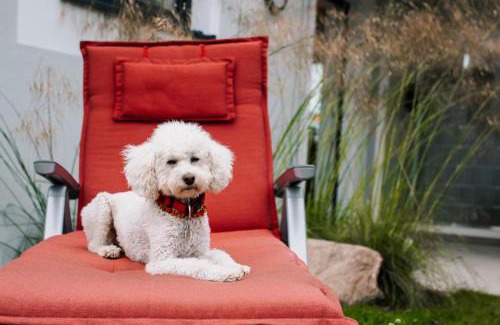 Lohme Apartment | Appartement Kranich - Moderne Ferienwohnung direkt am Schloss Ranzow!