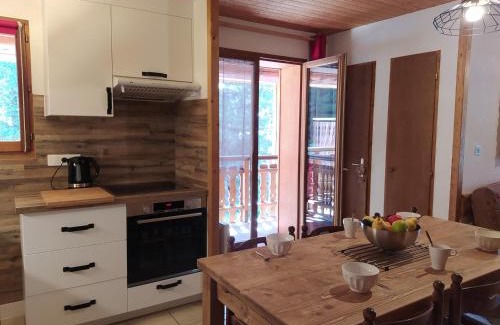 Les Carroz-d'Araches Apartment | Appartement L'Ecureuil 8 pers -Prox pistes et centre village-