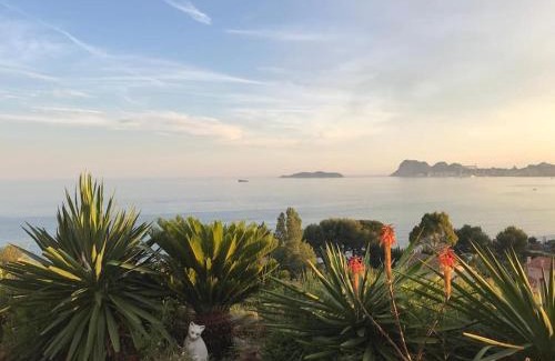 La Ciotat Apartment | Appartement la ciotat vue mer