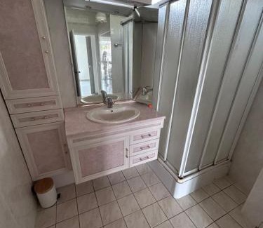 Sainte-Suzanne-and-Chammes Apartment | Appartement "la cité des roses"
