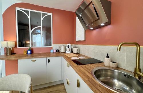 Moulins Apartment | Appartement Le rêve de Gaïa Climatisation et Wifi